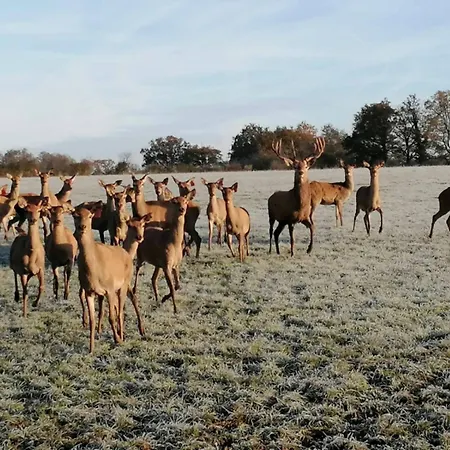 Le Bois Clairet Tatil Evi *