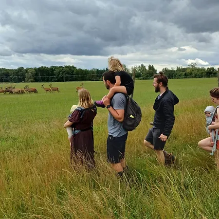 Le Bois Clairet * Journet