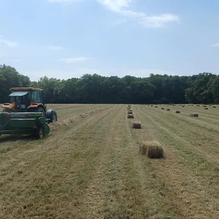 Casa de Férias Le Bois Clairet