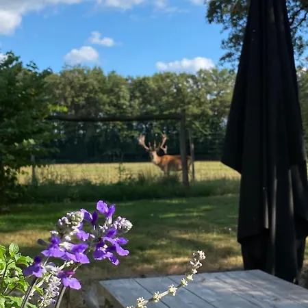 Tatil Evi Le Bois Clairet Journet