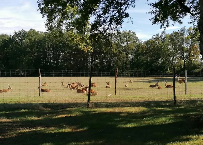 Сasa de vacaciones Le Bois Clairet