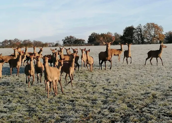 Le Bois Clairet Сasa de vacaciones *