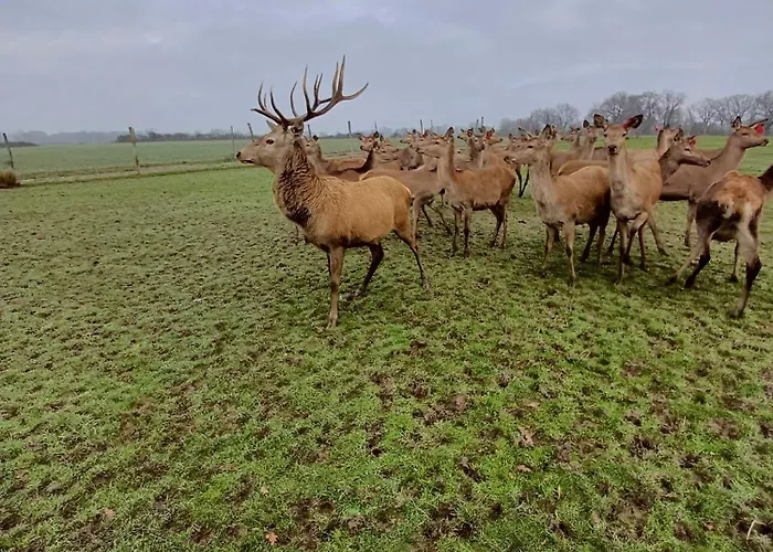 Le Bois Clairet Сasa de vacaciones Journet