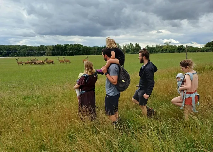 Le Bois Clairet * Journet