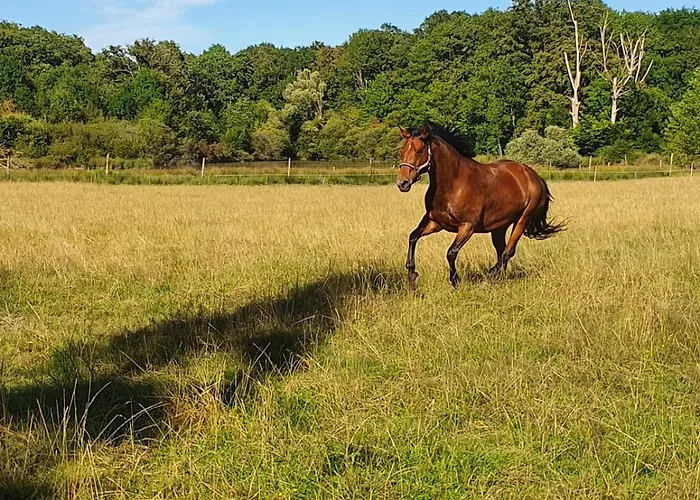 Le Bois Clairet Сasa de vacaciones *