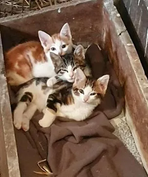 Le Bois Clairet Сasa de vacaciones