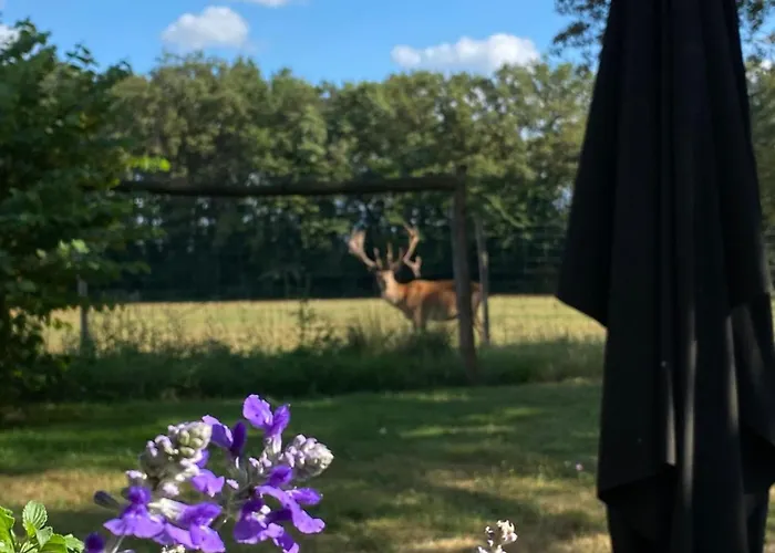 Сasa de vacaciones Le Bois Clairet Journet